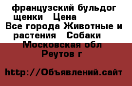 французский бульдог щенки › Цена ­ 50 000 - Все города Животные и растения » Собаки   . Московская обл.,Реутов г.